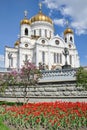 Cathedral of Christ the Savior Framed by Flowers in Spring