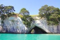 Cathedral cove New Zealand Royalty Free Stock Photo