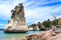 Te Hoho rock at Cathedral Cove, New Zealand Royalty Free Stock Photo