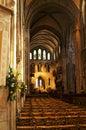 The Cathedral at Dublin Castle, Dublin, Ireland Royalty Free Stock Photo