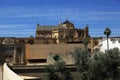 The Cathedral and former Great Mosque of Cordoba; Andalusia, Spain Royalty Free Stock Photo