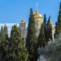 Cathedral of Gorny Monastery, Jerusalem Royalty Free Stock Photo