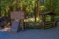 Cathedral Grove Ancient Forest, Vancouver Island, Canada Royalty Free Stock Photo