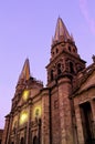 Cathedral- Guadalajara, Mexico Royalty Free Stock Photo