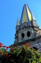 Cathedral- Guadalajara, Mexico Royalty Free Stock Photo