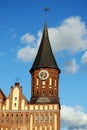 Cathedral in a kaliningrad city