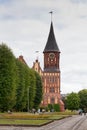 Cathedral. Kaliningrad, Russia Royalty Free Stock Photo