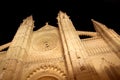 Cathedral of Majorca in Palma de Mallorca night Royalty Free Stock Photo