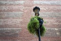 Cathedral of Malaga, Spain. Black forged street lamp on the background of the old stone walls of the cathedral Royalty Free Stock Photo