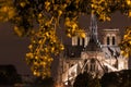 Cathedral of Notre Dame de Paris at night Royalty Free Stock Photo