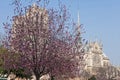 Cathedral of Notre Dame de Paris Royalty Free Stock Photo