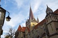 The Cathedral of Notre Dame of Lausanne , Switzerland Royalty Free Stock Photo