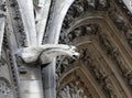 Cathedral of Notre Dame in Paris France with gargoyle Royalty Free Stock Photo