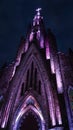 Cathedral of Our Lady of Lourdes in Canela, Brazil.