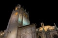 Cathedral of Palencia Royalty Free Stock Photo