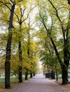 Cathedral park in Vilnius city Royalty Free Stock Photo