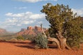 Cathedral Rock Landscape Royalty Free Stock Photo