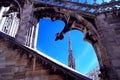 Cathedral roof 1 Royalty Free Stock Photo