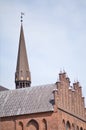 Cathedral Roskilde Denmark Royalty Free Stock Photo