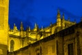 Cathedral of Saint Mary, Catedral de Santa Maria de la Sede in Seville, Spain Royalty Free Stock Photo