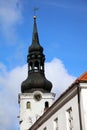 The Cathedral of Saint Mary the Virgin in Tallinn. Estonia Royalty Free Stock Photo