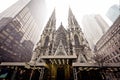 Cathedral of Saint Patrick in blizzard Royalty Free Stock Photo