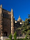 Cathedral of Salamanca Royalty Free Stock Photo