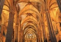 Cathedral of Santa Eulalia in Barcelona, Spain. Royalty Free Stock Photo