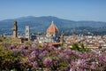 Cathedral of Santa Maria del Fiore in Florence, as seen from Bardini Garden with beautiful wisteria in bloom. Florence.