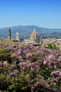 Cathedral of Santa Maria del Fiore in Florence, as seen from Bardini Garden with beautiful wisteria in bloom. Florence. Royalty Free Stock Photo