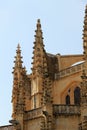 Cathedral of segovia, spain, the spiers Royalty Free Stock Photo