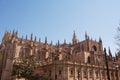 Cathedral of Sevilla