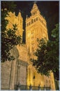 Cathedral Seville and La Giralda at night. Seville, Spain Royalty Free Stock Photo