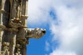 Gargoyle of Cathedral of Siena, Italy Royalty Free Stock Photo