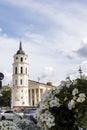 The Cathedral Square with the Bell Tower, Cathedral Basilica, Royal Palace of Lithuania and