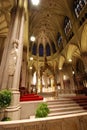 The Cathedral of St. Patrick Royalty Free Stock Photo