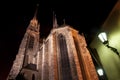 Cathedral of St. Peter and St. Paul in Brno