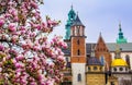 Cathedral of St Stanislaw and St Vaclav and royal castle on the