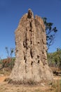 Cathedral termite mound