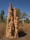 Cathedral termite mound in Top End of Australia Royalty Free Stock Photo