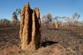 Cathedral termite mounds, Australia