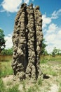 Cathedral termite mounds in Kakadu National Park Royalty Free Stock Photo