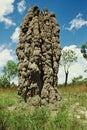 Cathedral termite mounds in Kakadu National Park Royalty Free Stock Photo