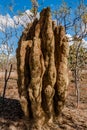 A cathedral termite mound in the Australian outback Royalty Free Stock Photo