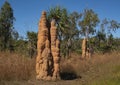 Cathedral termite mounds in Top End Australia Royalty Free Stock Photo