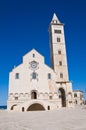 Cathedral of Trani. Puglia. Italy. Royalty Free Stock Photo