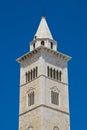 Cathedral of Trani. Puglia. Italy. Royalty Free Stock Photo