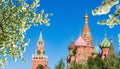 Cathedral of Vasily the Blessed Saint Basil`s Cathedral and Spasskaya Tower on Red Square in spring, Moscow, Russia Royalty Free Stock Photo