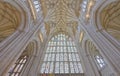 Cathedral vaulting Royalty Free Stock Photo
