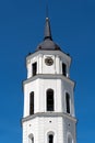 The Cathedral of Vilnius Royalty Free Stock Photo